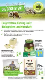 EDEKA Berger Prospekt woche 8 Seite 23
