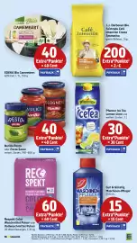 EDEKA Berger Prospekt woche 8 Seite 41