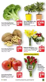 EDEKA Berger Prospekt woche 8 Seite 5