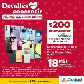 Folleto Chedraui Página 4