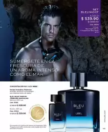 Catálogo L'Bel Página 101