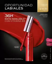 Catálogo L'Bel Página 33