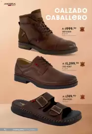 Catálogo Andrea Página 42