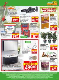 Herkules Baumarkt Prospekt woche 8 Seite 8