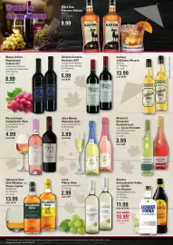 Meyer's Frischemarkt Prospekt woche 8 Seite 11