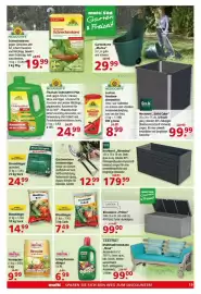 Multi Markt Prospekt woche 8 Seite 19