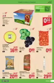 Metro Flugblatt Seite 25