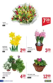 Metro Flugblatt Seite 62