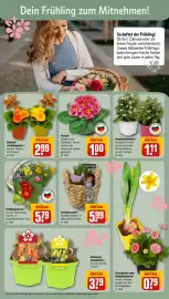 REWE PETZ Prospekt woche 8 Seite 8