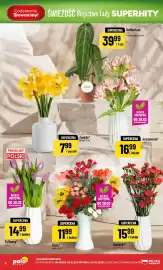 Polomarket gazetka tydzień 8 Strona 8