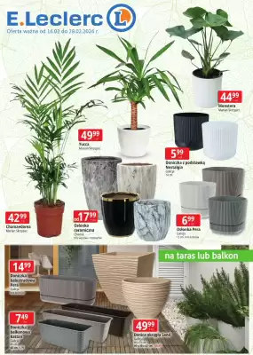 E.Leclerc gazetka (ważność do 28-02)