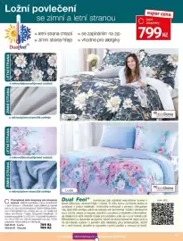 Decodoma leták Strana 19