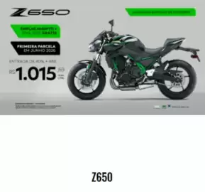 Catálogo Kawasaki Página 19