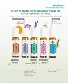 Catálogo Biogreen Página 105