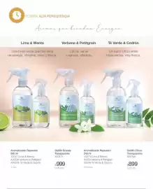 Catálogo Biogreen Página 12