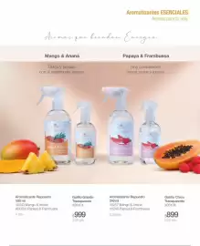 Catálogo Biogreen Página 13