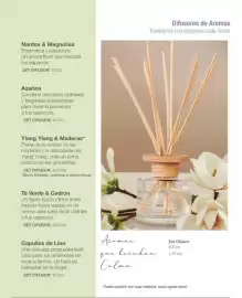 Catálogo Biogreen Página 17