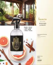 Catálogo Biogreen Página 31