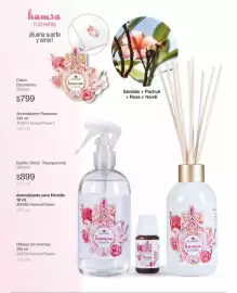 Catálogo Biogreen Página 32