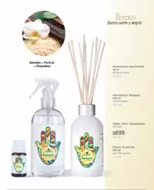 Catálogo Biogreen Página 33