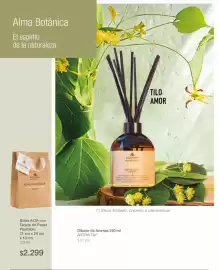 Catálogo Biogreen Página 34