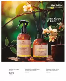 Catálogo Biogreen Página 35