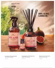 Catálogo Biogreen Página 36