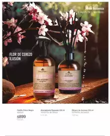 Catálogo Biogreen Página 37