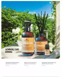 Catálogo Biogreen Página 38