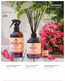 Catálogo Biogreen Página 39