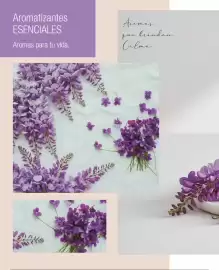 Catálogo Biogreen Página 4