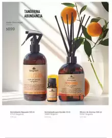 Catálogo Biogreen Página 40