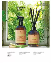 Catálogo Biogreen Página 41