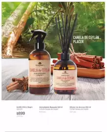 Catálogo Biogreen Página 42