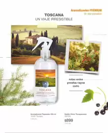 Catálogo Biogreen Página 47