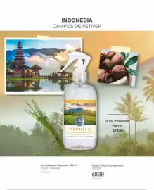 Catálogo Biogreen Página 48