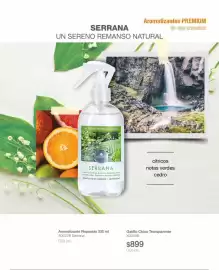 Catálogo Biogreen Página 51