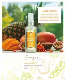 Catálogo Biogreen Página 67