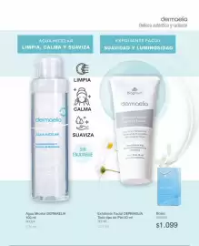 Catálogo Biogreen Página 91