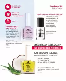 Catálogo Biogreen Página 95