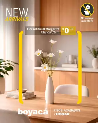 Catálogo Boyacá (válido hasta 28-02)