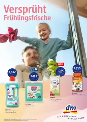 DM DE folder (geldig t/m 7-03)