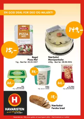 Havaristen kundeavis