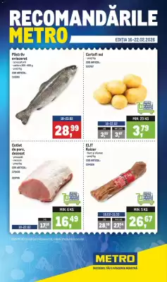 Catalog Metro (valid până la 22-02)