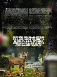 Das Futterhaus Prospekt Seite 10