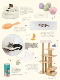 Das Futterhaus Prospekt Seite 13