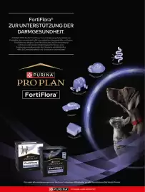 Das Futterhaus Prospekt Seite 20