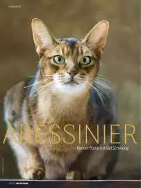 Das Futterhaus Prospekt Seite 22