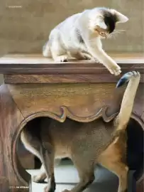 Das Futterhaus Prospekt Seite 24