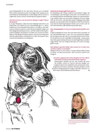 Das Futterhaus Prospekt Seite 28